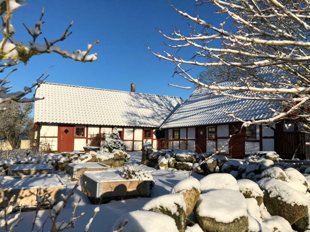 Kattalaengan Vila Brösarp Exterior foto